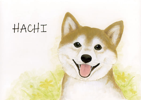 可愛い柴犬の似顔絵イラスト